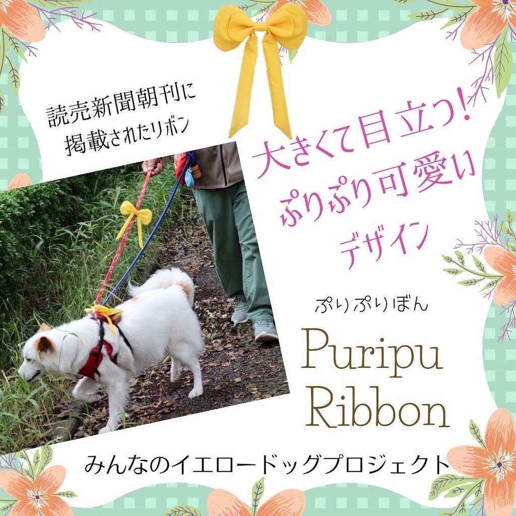 ★公式★ぷりぷりぼん【リボンのみ】