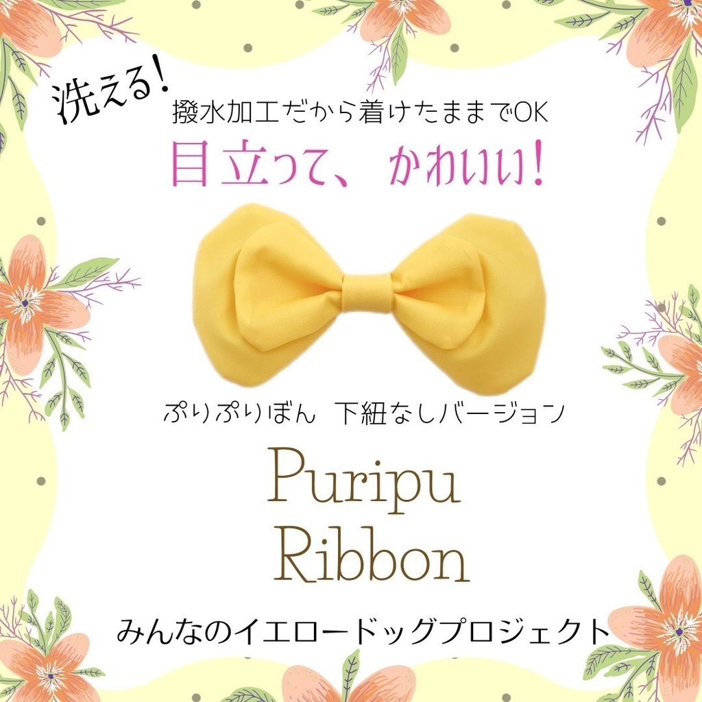 ★公式★ぷりぷりぼん(ボディ用)【ラミネートセット】