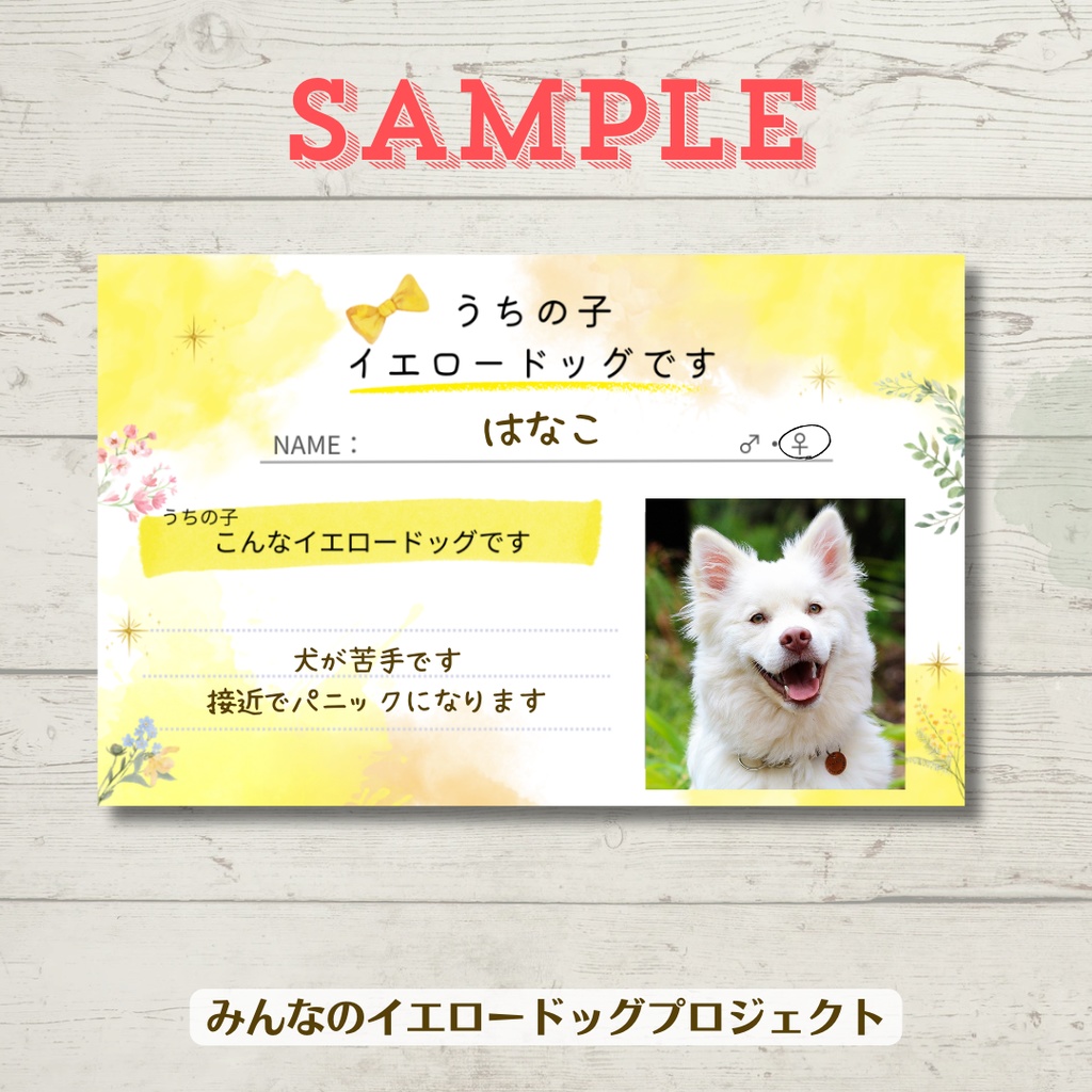 イエロードッグカード(20枚セット)