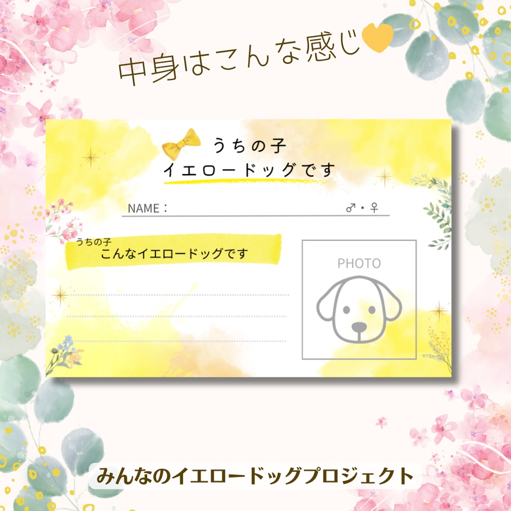 イエロードッグカード(20枚セット)