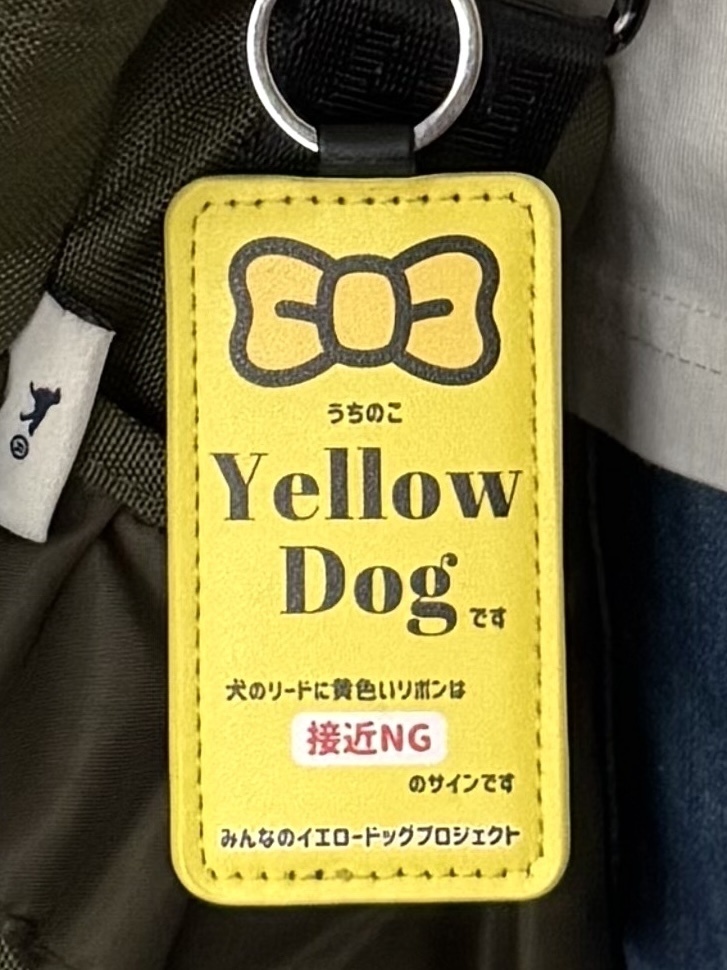 イエロードッグキーホルダー