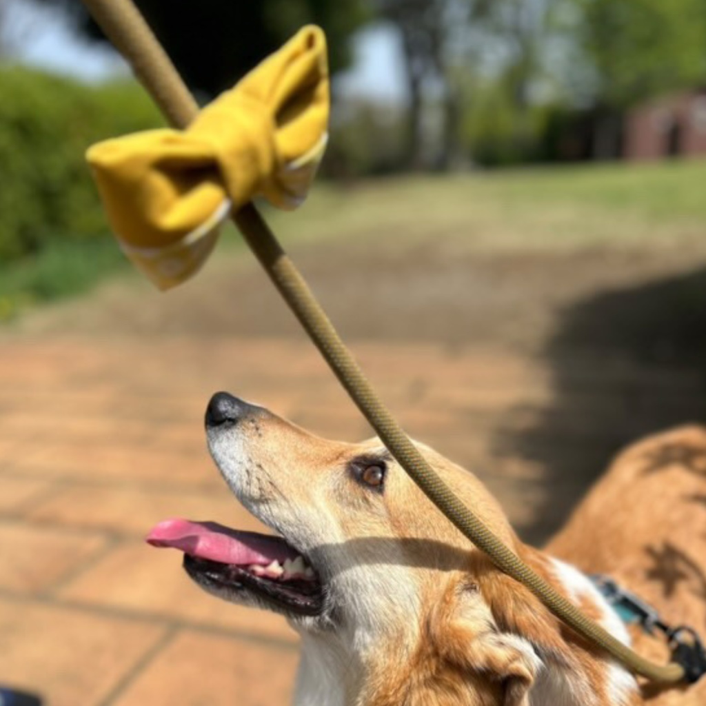 ロウルズさんコラボリボン【第2弾!】☆全6種