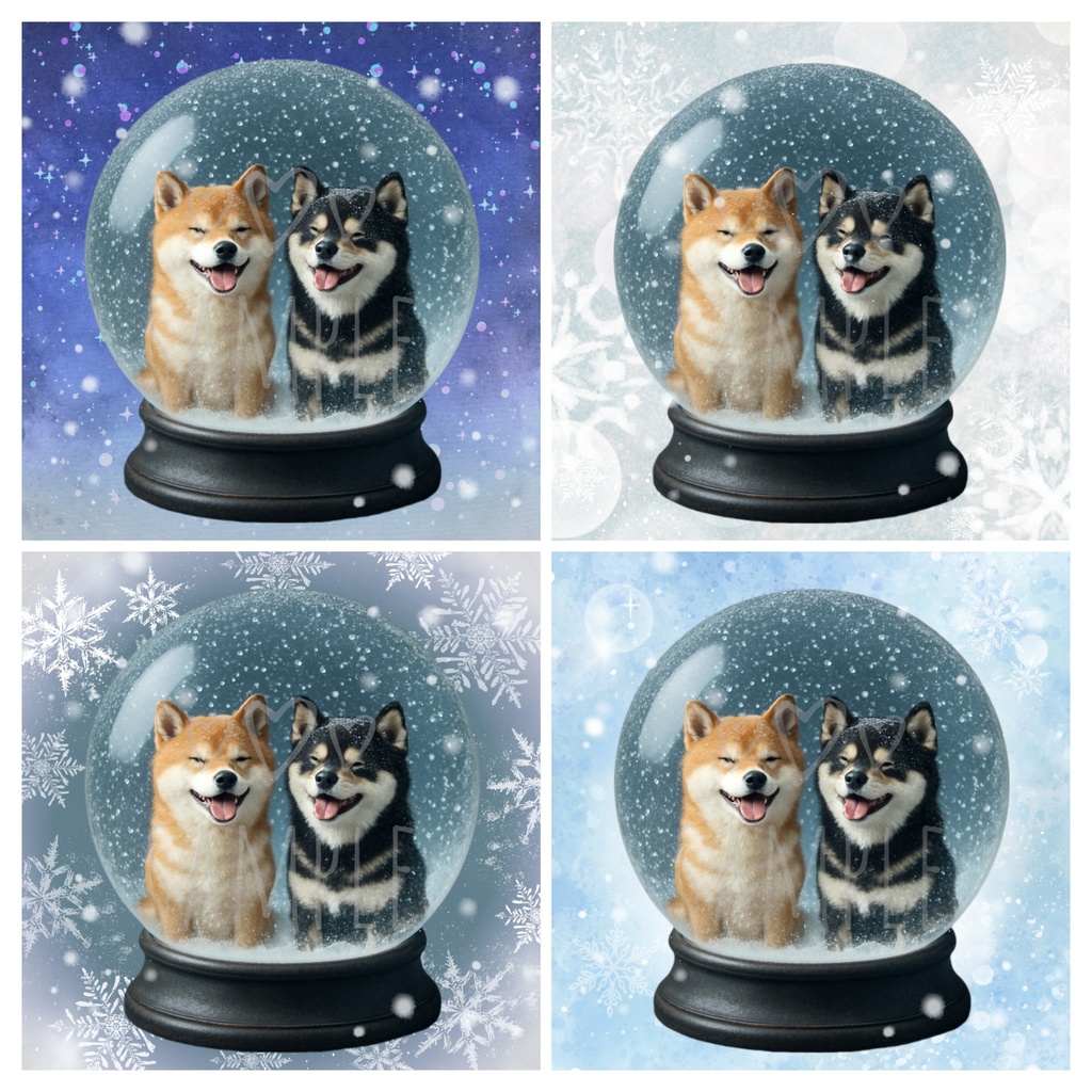 赤柴・黒柴×スノードーム｜SNSアイコン4点セット