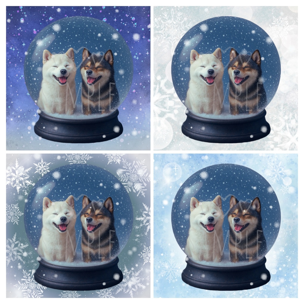 白柴・胡麻柴×スノードーム｜SNSアイコン4点セット