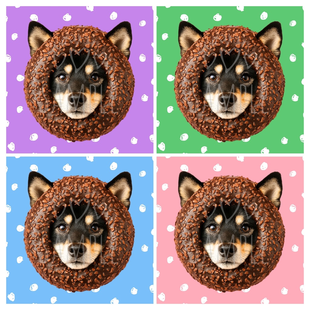 黒柴×ドーナツ｜SNSアイコン4点セット（ラベンダー/グリーン/ピンク/ブルー）