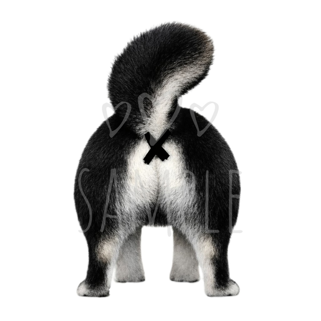 黒柴×おちり｜背景透過PNG