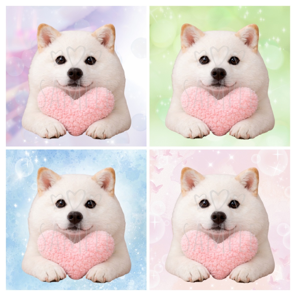 白柴×ハート｜SNSアイコン4点セット(ラベンダー、グリーン、ピンク、ブルー)