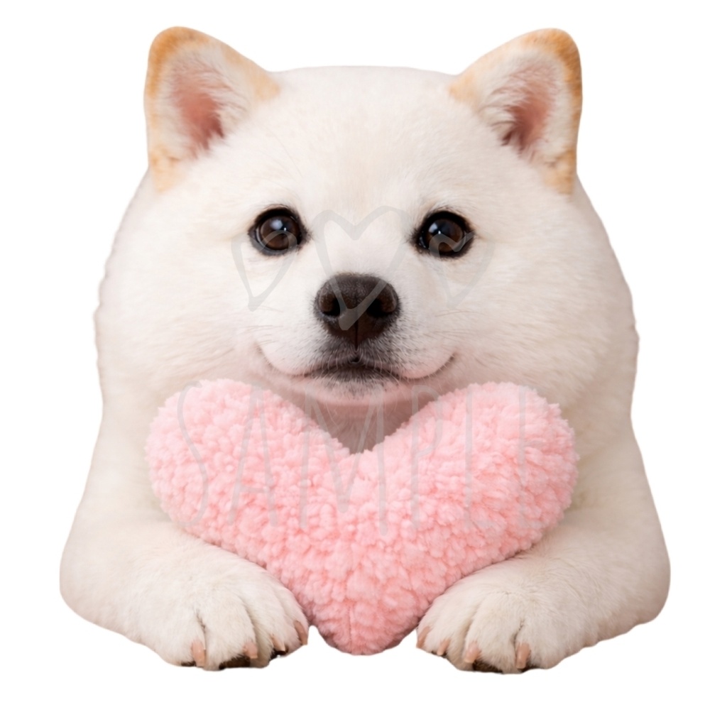 白柴×ハート｜背景透過PNG