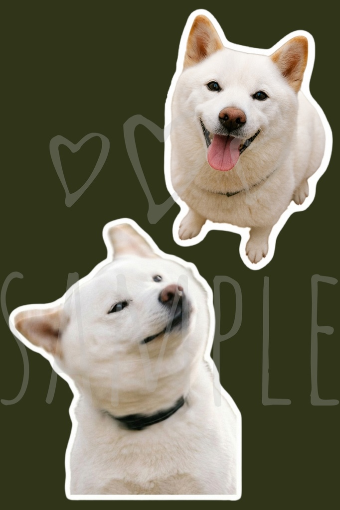 白柴ステッカー|背景透過8点セット