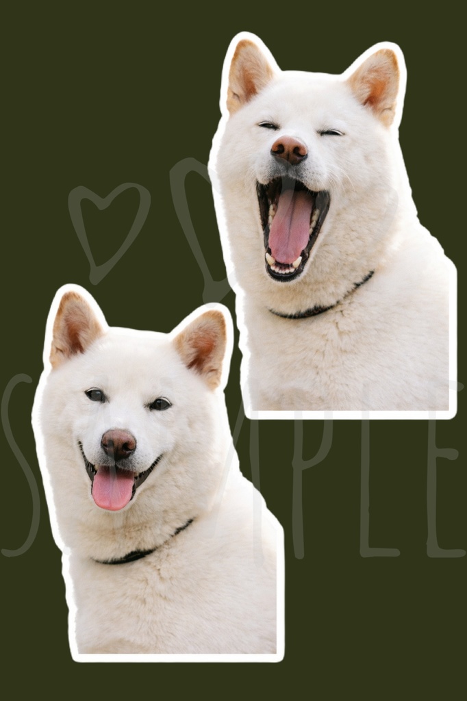 白柴ステッカー|背景透過8点セット