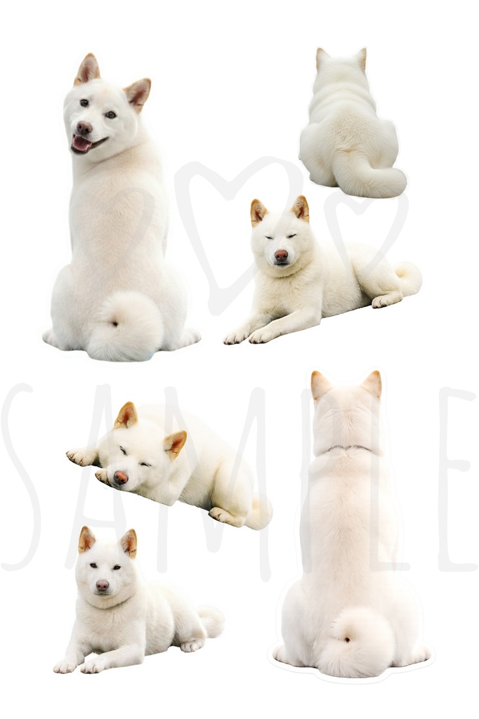 白柴ステッカー|背景透過12点セット