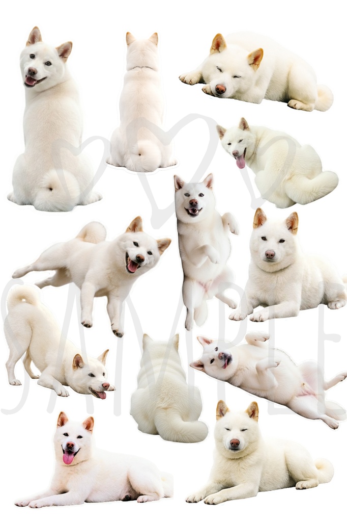 白柴ステッカー｜背景透過12点セット