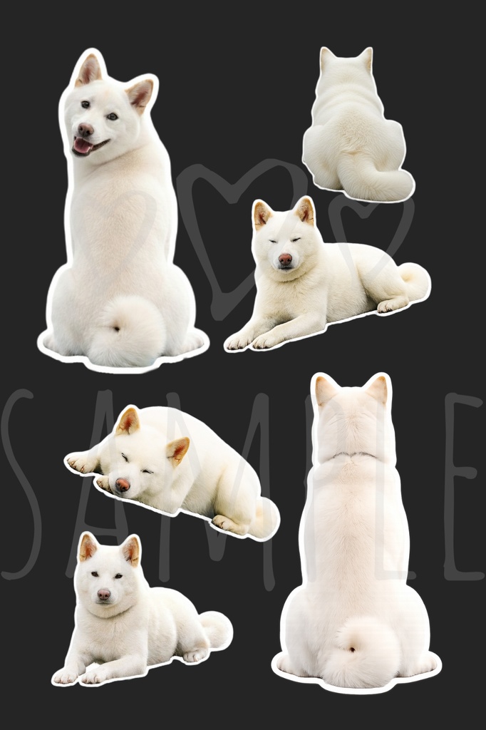 白柴ステッカー|背景透過12点セット