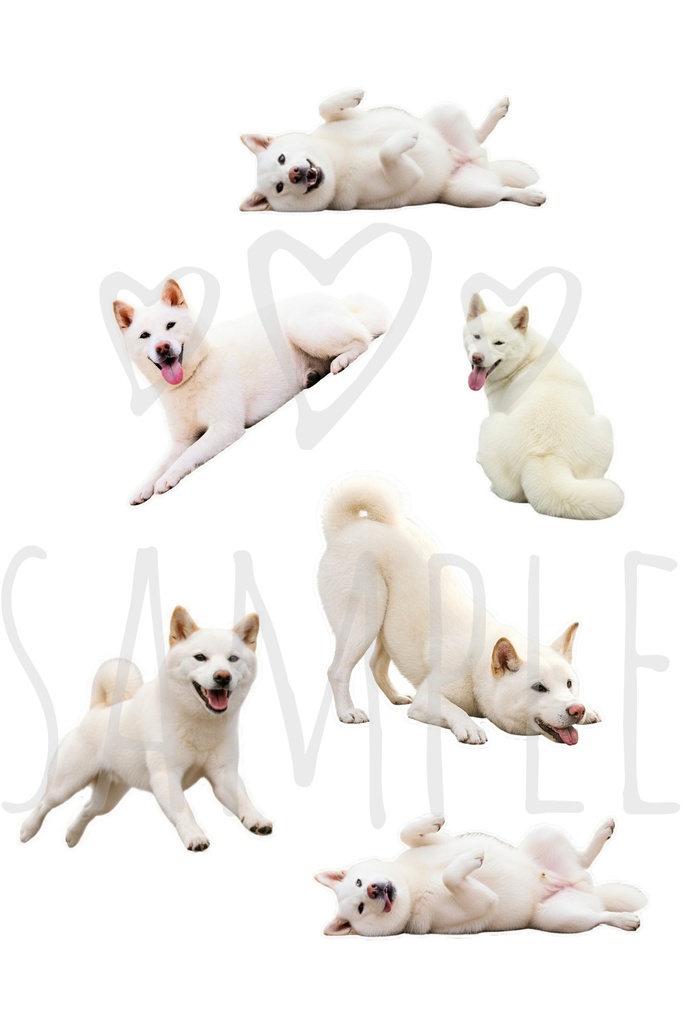 白柴ステッカー|背景透過12点セット