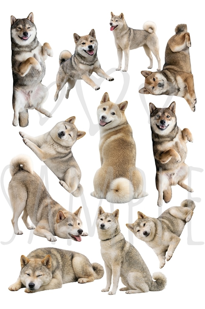 胡麻柴｜背景透過11点セット