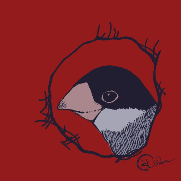 のぞき文鳥パーカー