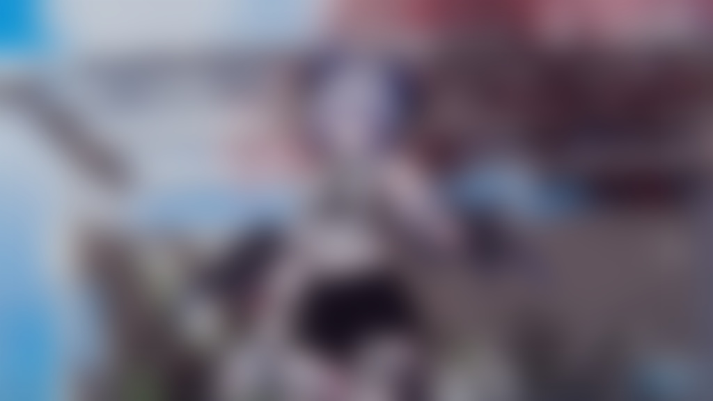 ✦毎月の壁紙配布✦【3月更新】