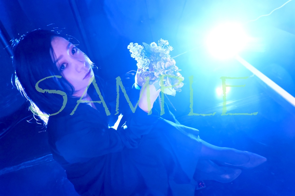 ブロマイド4枚セット 嶋垣くらら【D】