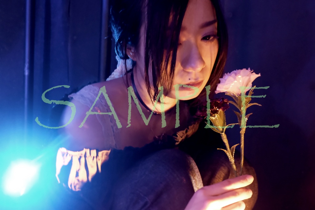 ブロマイド4枚セット 嶋垣くらら【F】