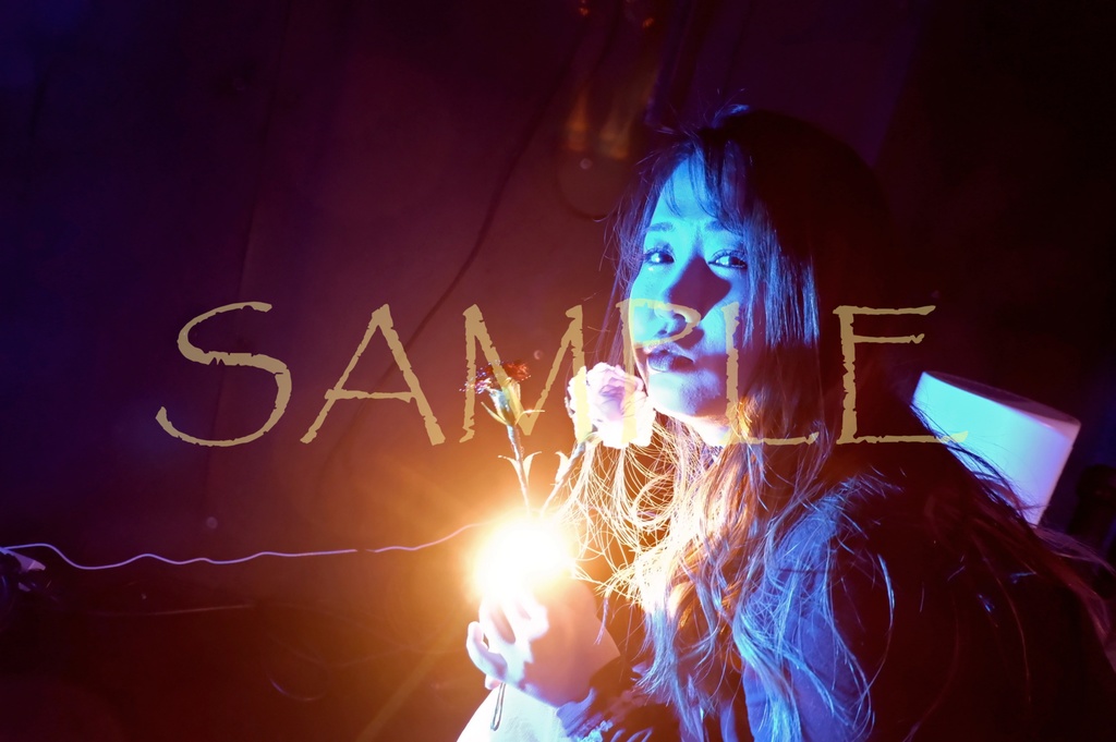 ブロマイド4枚セット 篠目ゆき【C】