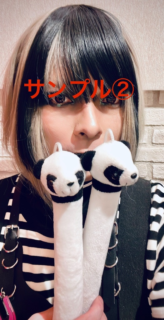 デジチェキ5.17ツインドラゴン②パンダドラゴン