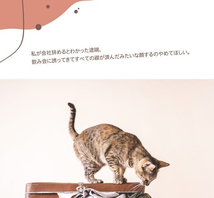 『私が会社辞めるとわかった途端、飲み会に誘ってきてすべての禊が済んだみたいな顔するのやめてほしい。』