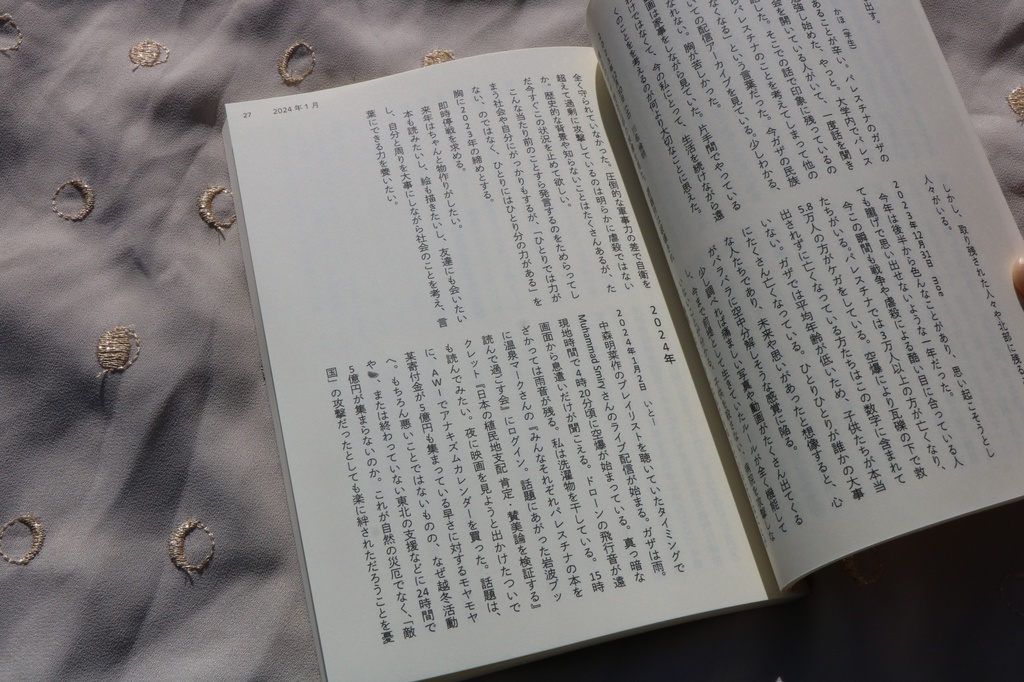 パレスチナについて考えた日の日記