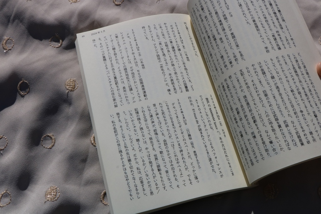 パレスチナについて考えた日の日記