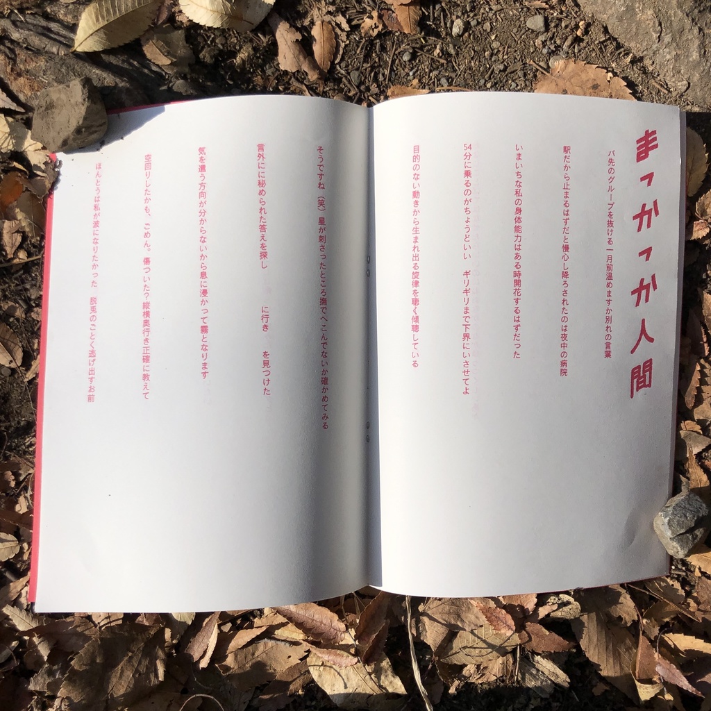 Do・フェミ/まっかっか人間 野生のア