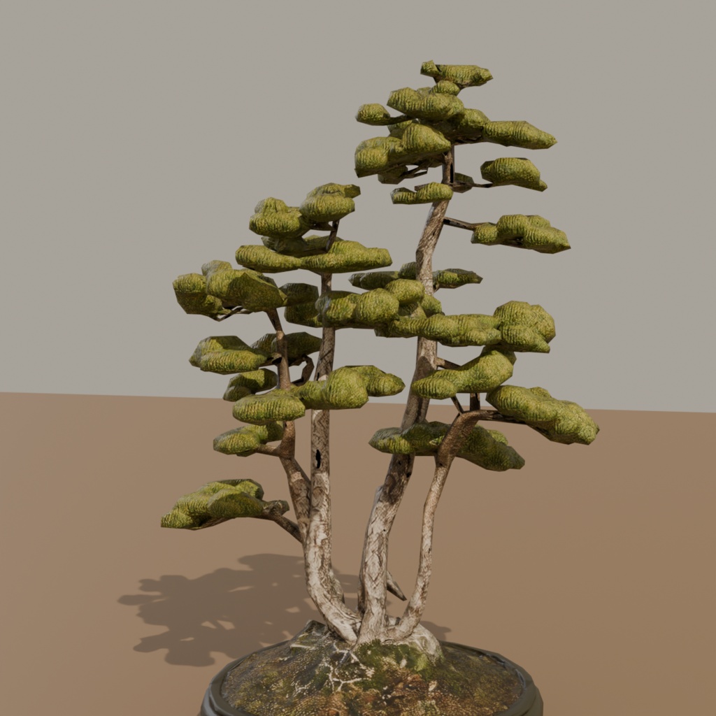 盆栽 五葉松 叢雲|VRChat向け和風3D置物・インテリア【ワールド装飾】