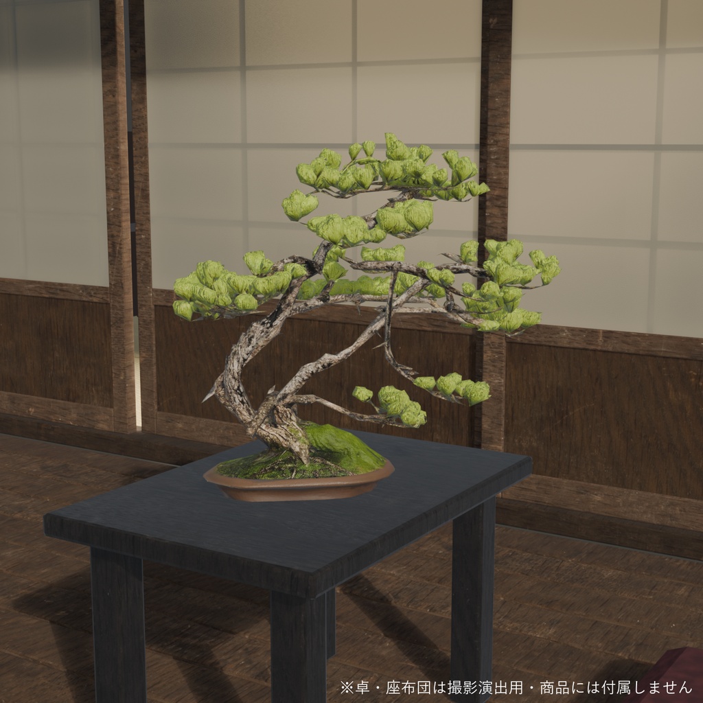 盆栽 五葉松 芽吹|VRChat向け和風3D置物・インテリア【ワールド装飾】