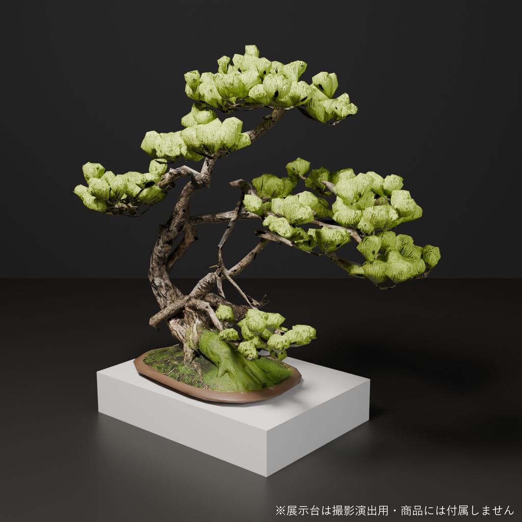 盆栽 五葉松 芽吹|VRChat向け和風3D置物・インテリア【ワールド装飾】