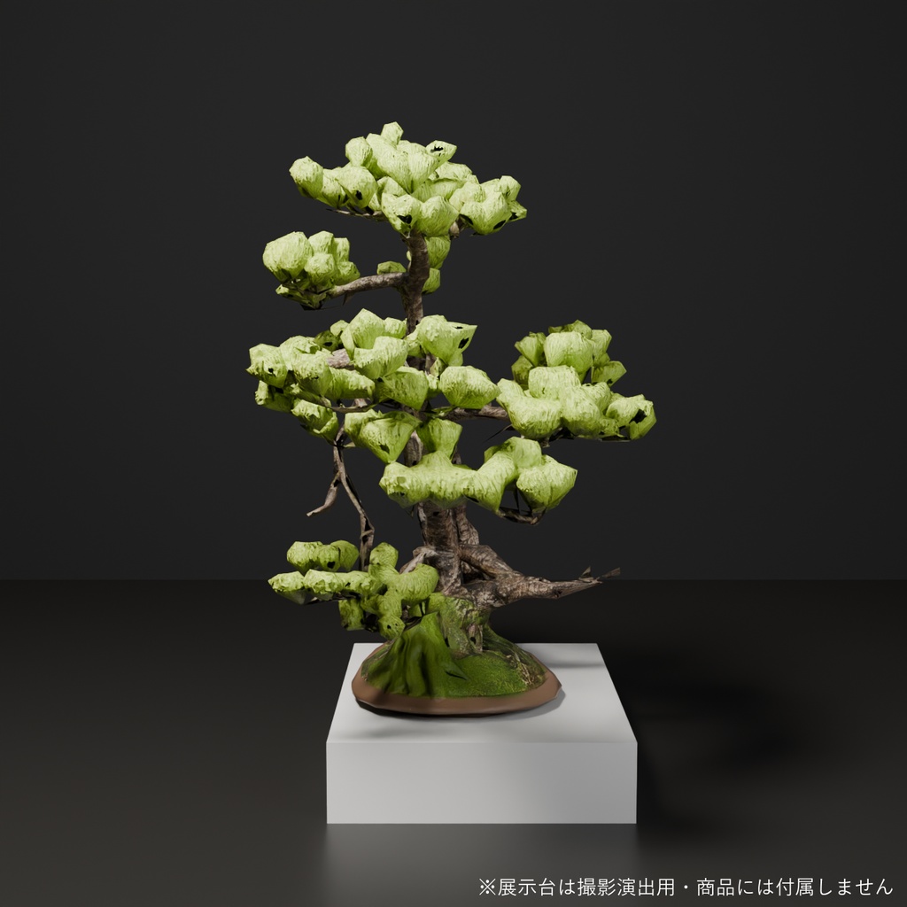 盆栽 五葉松 芽吹|VRChat向け和風3D置物・インテリア【ワールド装飾】