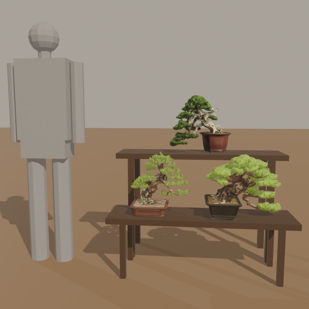 盆栽 三樹種セット 真柏・黒松・赤松+盆栽棚|VRChat向け和風3D置物【4点セット/ワールド装飾】