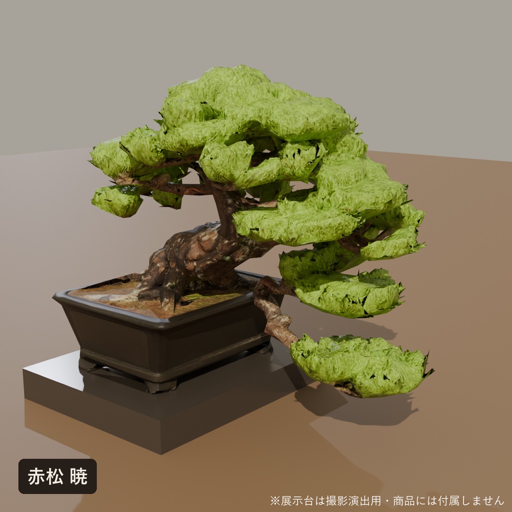 盆栽 三樹種セット 真柏・黒松・赤松+盆栽棚|VRChat向け和風3D置物【4点セット/ワールド装飾】