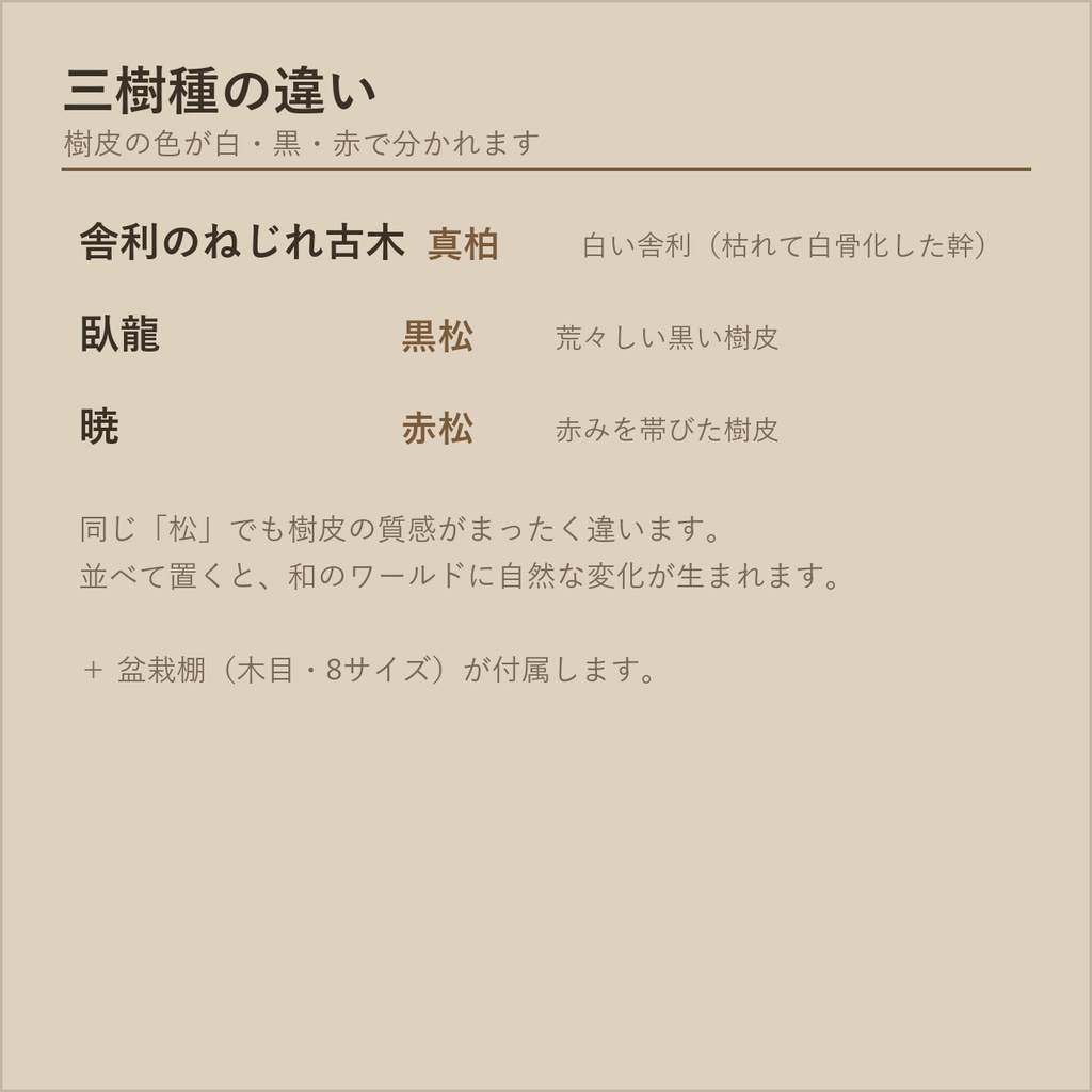 盆栽 三樹種セット 真柏・黒松・赤松+盆栽棚|VRChat向け和風3D置物【4点セット/ワールド装飾】
