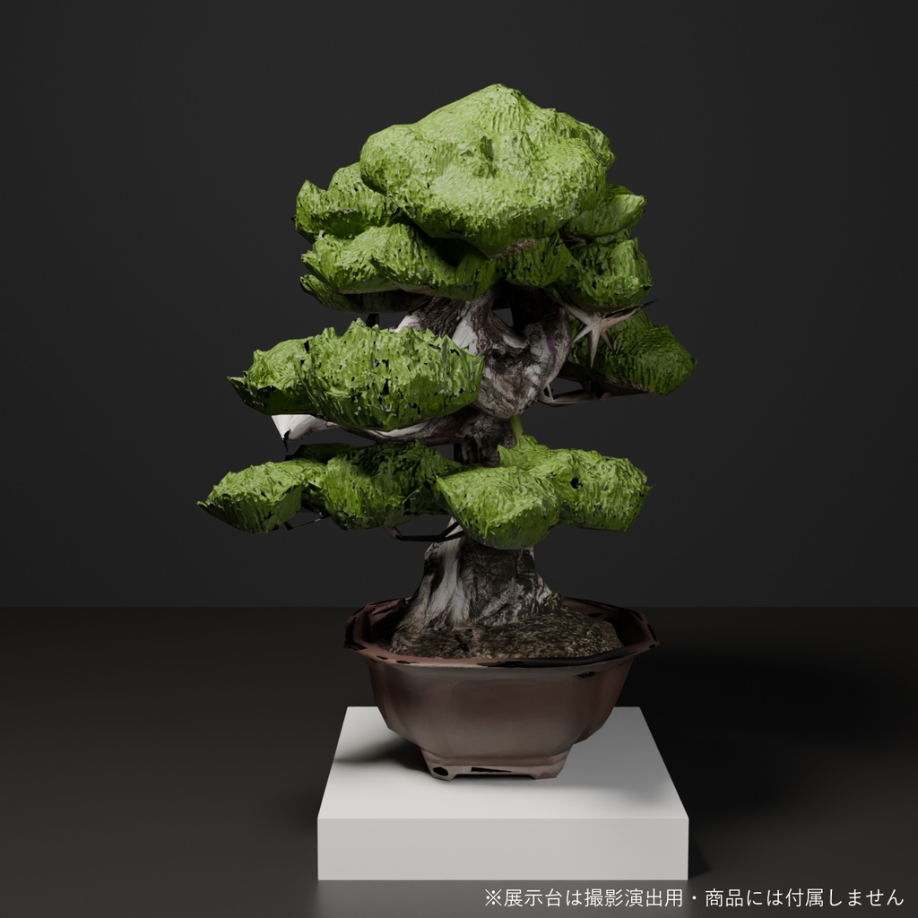 盆栽 黒松 雪嶺|VRChat向け和風3D置物・幹を貫く白いジン【ワールド装飾】
