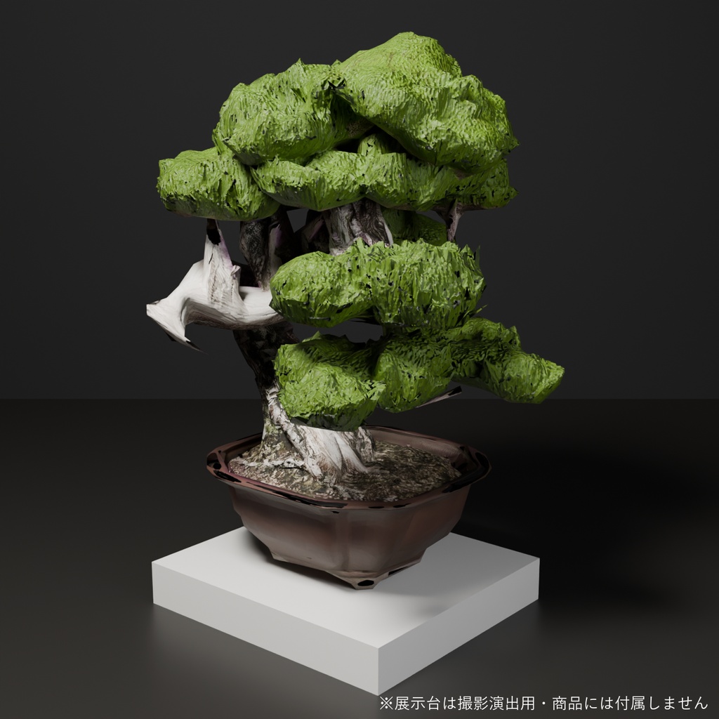盆栽 黒松 雪嶺|VRChat向け和風3D置物・幹を貫く白いジン【ワールド装飾】