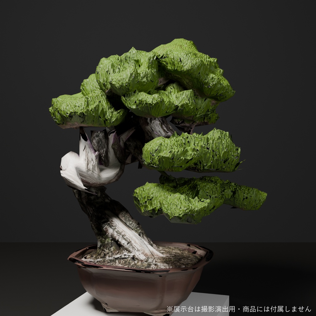 盆栽 黒松 雪嶺|VRChat向け和風3D置物・幹を貫く白いジン【ワールド装飾】