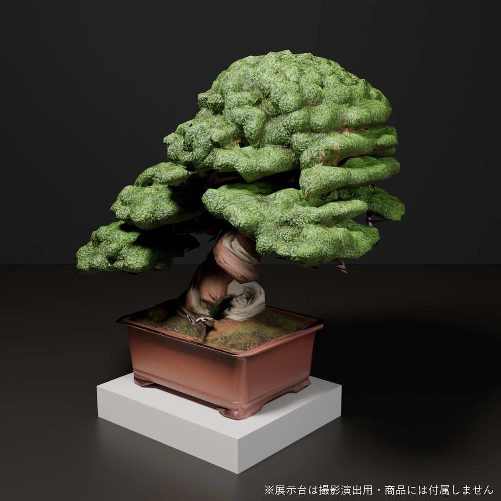 盆栽 真柏 翠蓋|VRChat向け和風3D置物・丸屋根に茂る太幹【ワールド装飾】