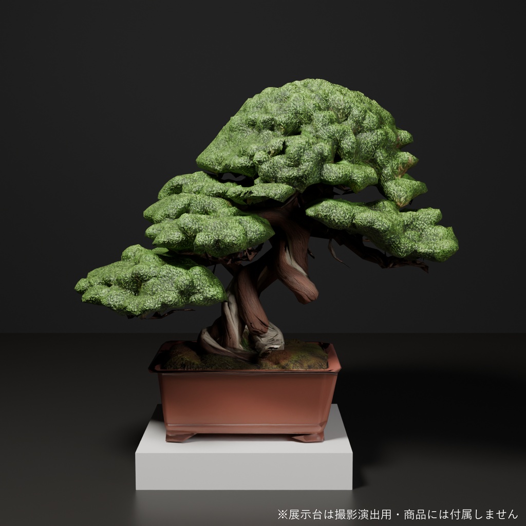 盆栽 真柏 翠蓋｜VRChat向け和風3D置物・丸屋根に茂る太幹【ワールド装飾】