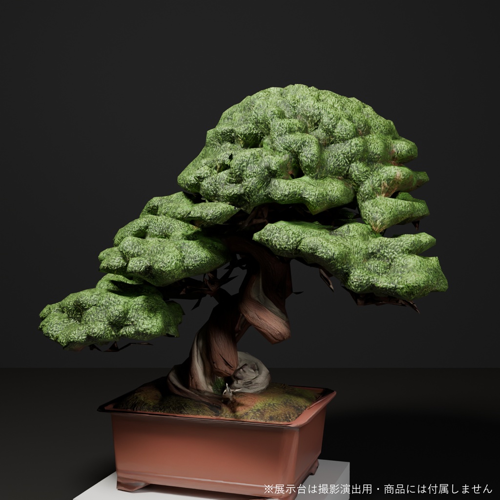 盆栽 真柏 翠蓋|VRChat向け和風3D置物・丸屋根に茂る太幹【ワールド装飾】
