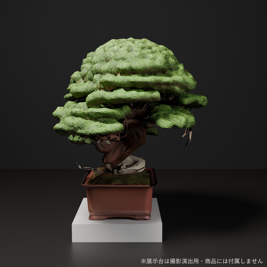 盆栽 真柏 翠蓋|VRChat向け和風3D置物・丸屋根に茂る太幹【ワールド装飾】