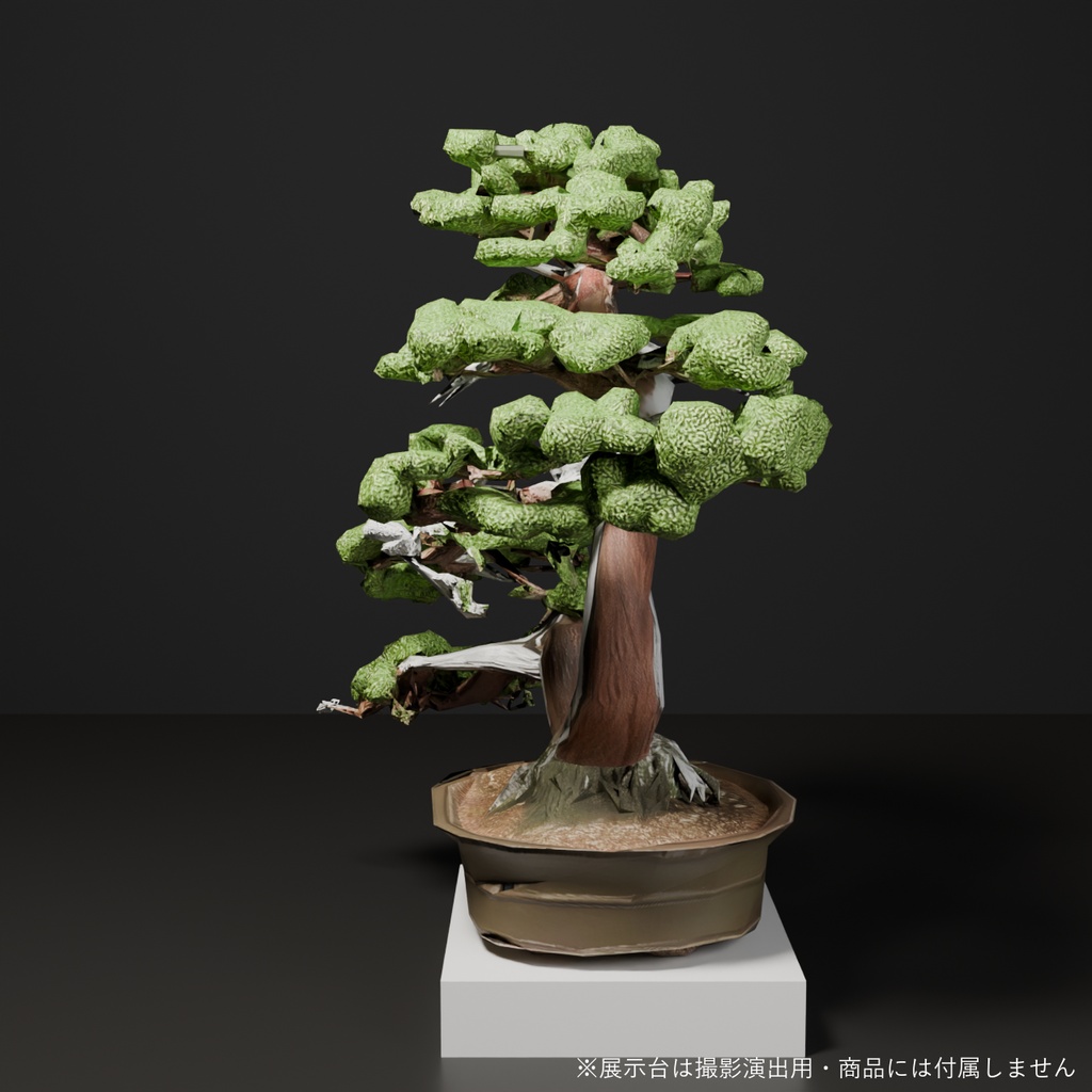 盆栽 真柏 比翼|VRChat向け和風3D置物・寄り添う双幹の白い舎利【ワールド装飾】