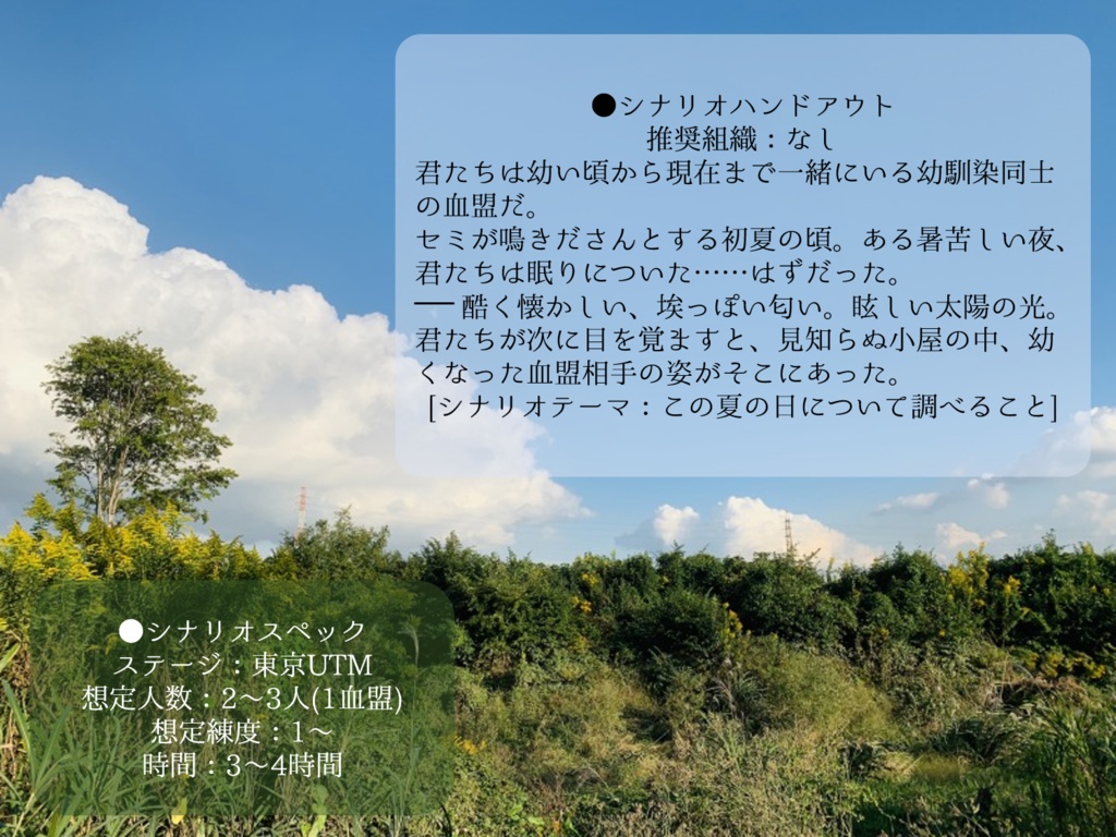 ブラッドパスシナリオ 夏空ノスタルジー くろたい焼き本舗 Booth