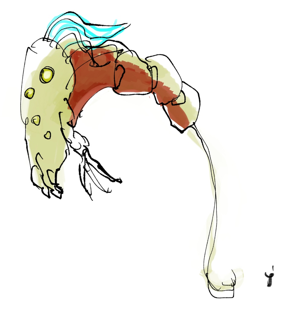100Doodles