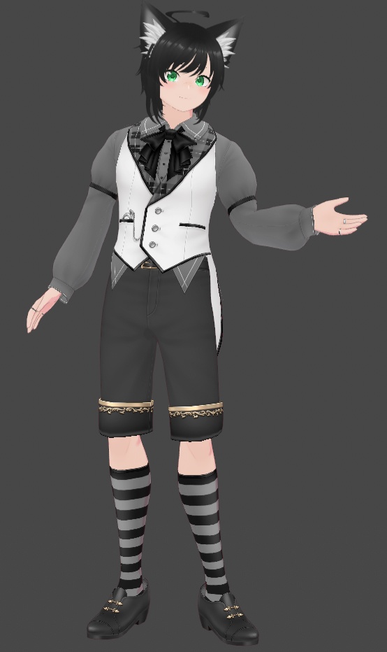 【Free VRM】Model Pack - Presets VROID Models