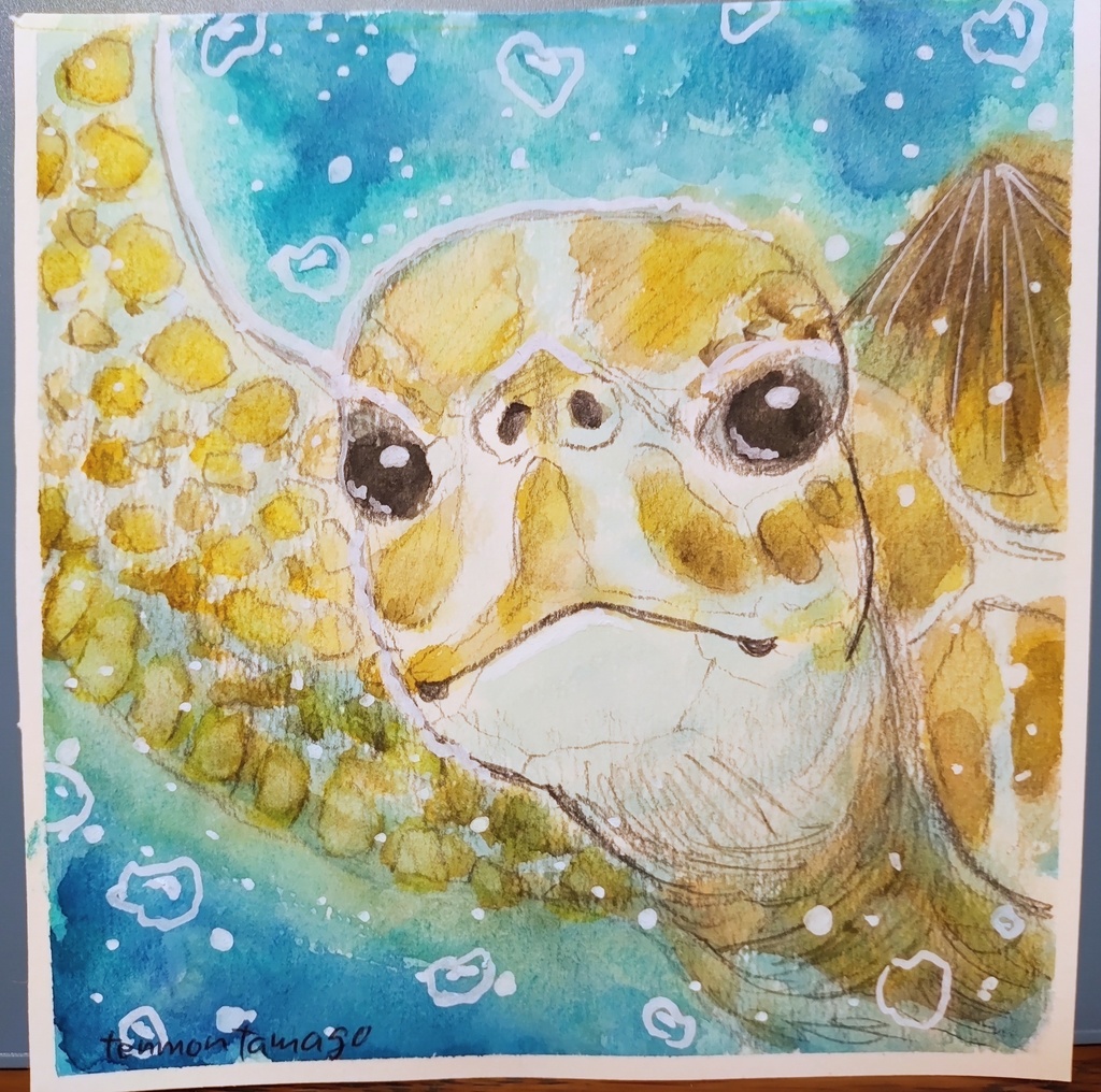 ウミガメのイラスト原画