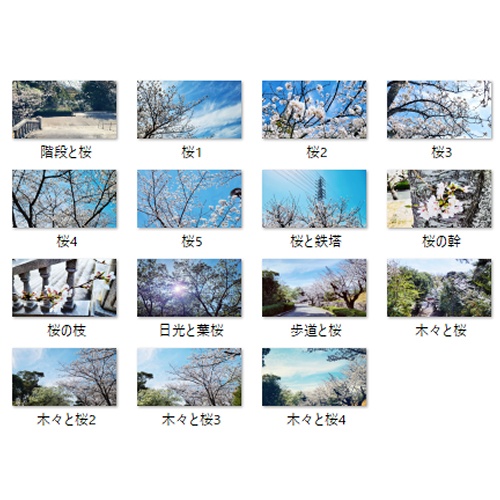 【無料/投げ銭】桜の背景素材