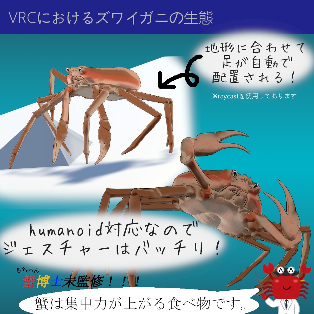 ズワイガニ -SnowCrab-